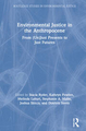 Jatropha bioenergy in Yucatán, Mexico: An examination of energy justice