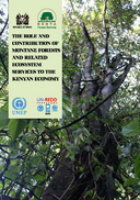 The role and contribution of Montane Forests and related ecosystem services to the Kenyan economy