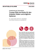 Trumps Zölle als Risiko für den Globalen Süden und mögliche Optionen