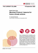 Montreal Protocol: lessons for future climate actions
