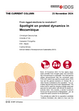 Cover: Spotlight on protest dynamics in Mozambique, by Dworschak, Christoph / Salvador Forquilha / Karina Mross, The Current Column of 25 November 2024