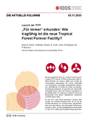 „Für immer“ erkunden: Wie tragfähig ist die neue Tropical Forest Forever Facility?