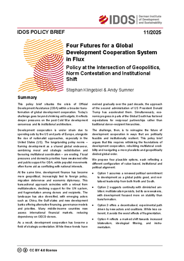 Cover IDOS Policy Brief