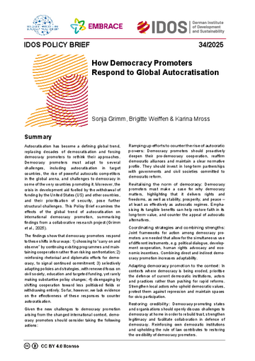 IDOS Policy Brief 34/2025