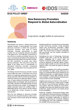 IDOS Policy Brief 34/2025