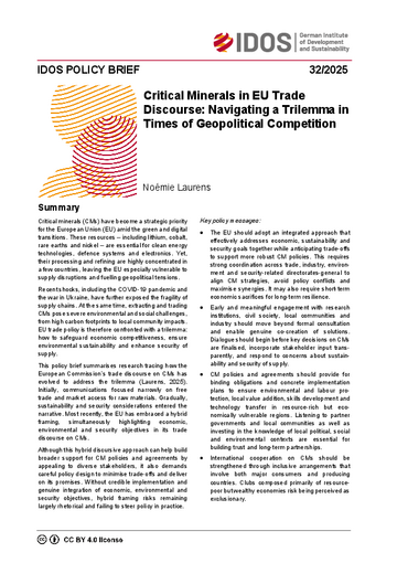 IDOS Policy Brief 32/2025