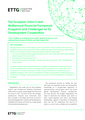 The European Union’s next multiannual financial framework: prospects and challenges for EU development cooperation