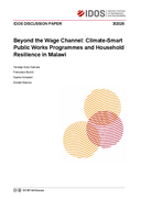 Beyond the wage channel: climate-smart public works programmes and household resilience in Malawi