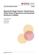 Beyond the wage channel: climate-smart public works programmes and household resilience in Malawi