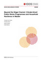 Beyond the wage channel: climate-smart public works programmes and household resilience in Malawi