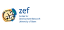 The impact of social assistance programmes in a pandemic: evidence from Kenya 