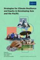 Climate finance solutions for climate-vulnerable developing countries