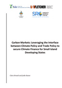 Carbon markets: leveraging the interface between climate policy and trade policy to secure climate finance