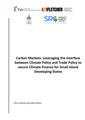 Carbon markets: leveraging the interface between climate policy and trade policy to secure climate finance