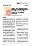 Building social cohesion through livelihood support in climate-related internal displacement settings: evidence from Zimbabwe and Mozambique