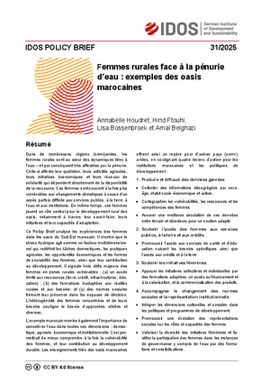 IDOS Policy Brief Cover