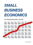 Environmental policy stringency and firm efficiency in developing countries