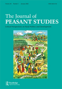 Inside an enclave: the dynamics of capitalism and rural politics in a post-land reform context