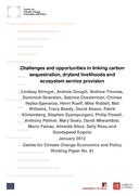 Challenges and opportunities in linking carbon sequestration, dryland livelihoods and ecosystem service provision