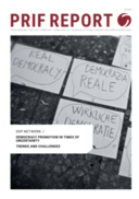  Democracy promotion in Africa