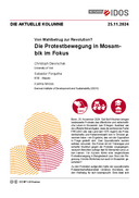 Spotlight on protest dynamics in Mozambique