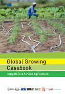 Post-colonial agricultural experiences in sub-Saharan Africa