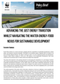 Advancing the just energy transition whilst navigating the water-energy-food-nexus for sustainable development