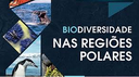 Why do people care about polar animals?