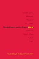 South Africa’s middle power ambitions: riding the dragon or being its pet?