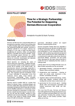 IDOS Policy Brief cover