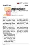 Regulating and mobilising the private sector for democracy protection in the European Union’s trade policy