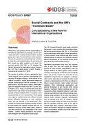 Social contracts and the UN’s “Common Goals”: conceptualising a new role for international organisations
