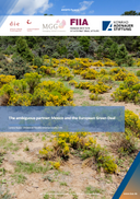 The ambiguous partner: Mexico and the European Green Deal