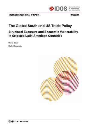 Cover IDOS Discussion Paper