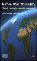Effectiveness of transnational development partnerships: how do area characteristics and project environment matter for the success?