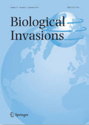 Exploring how non-native seagrass species could provide essential ecosystems services: a perspective on the highly invasive seagrass Halophila stipulacea in the Caribbean Sea