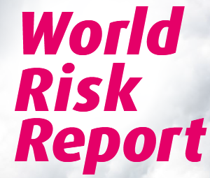 More climate risks, less cooperation: the erosion of international capacity to act