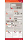 Infographic REDD+