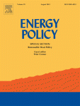 Social norms, trust and control of power theft in Uganda: does bulk metering work for MSEs?