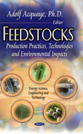 Trade-Off decisions for sustainable development of bioenergy in the Philippines