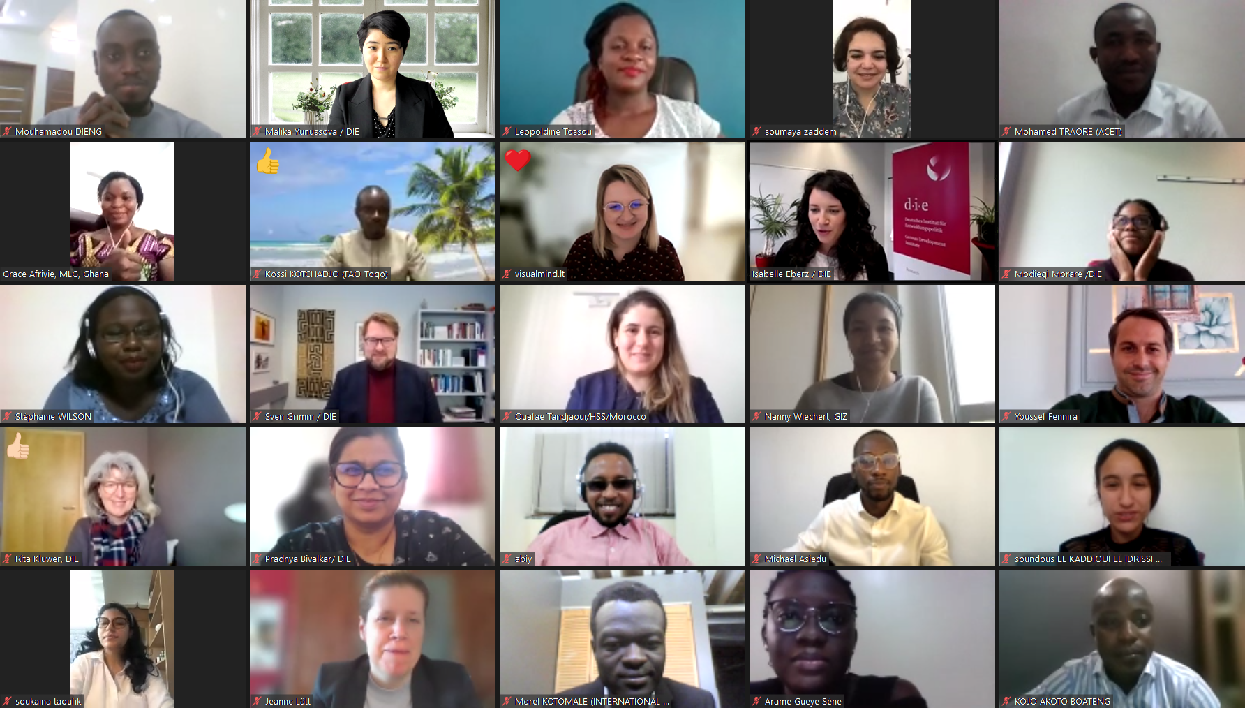 Screenshot Digital African-German Leadership Academy “Sustainable Development – Transdisciplinary peer learning between Africa and Europe” 