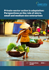 Multistakeholder partnerships for adaptation: the role of micro, small and medium enterprises