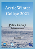 Local infrastructures and global crises in the remote Arctic: implications for the EU arctic policy