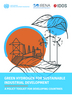 Green hydrogen for sustainable industrial development: a policy toolkit for developing countries