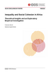 Inequality and social cohesion in Africa: theoretical insights and an exploratory empirical investigation