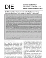 Der Schutz geistiger Eigentumsrechte in der Welthandelsordnung: entwicklungspolitischer Reformbedarf für das TRIPS-Abkommen