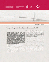 Triangular cooperation: broader, more dynamic and flexible