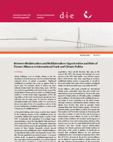 Between minilateralism and multilateralism: opportunities and risks of pioneer alliances in international trade and climate politics