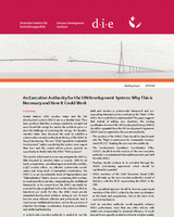 An executive authority for the UN Development System: why this is necessary and how it could work
