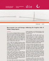 Non-economic loss and damage: addressing the forgotten side of climate change impacts